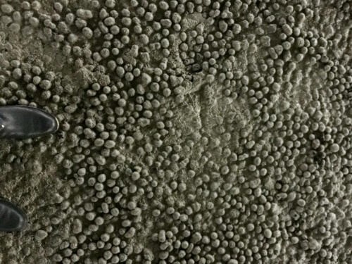 江西達(dá)人建材陶粒混凝土 江西達(dá)人建材陶粒混凝土